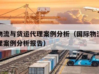 国际物流与货运代理案例分析（国际物流与货运代理案例分析报告）