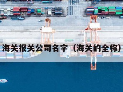 海关报关公司名字（海关的全称）