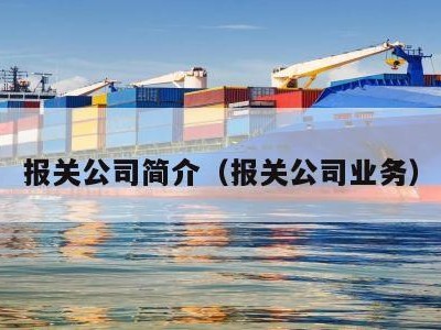 报关公司简介（报关公司业务）
