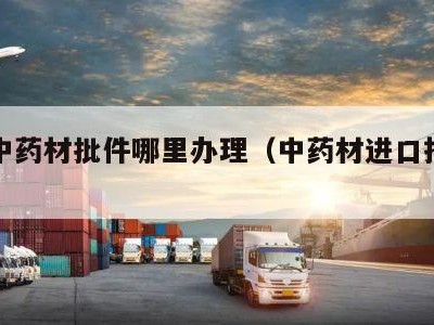 进口中药材批件哪里办理（中药材进口指定口岸）