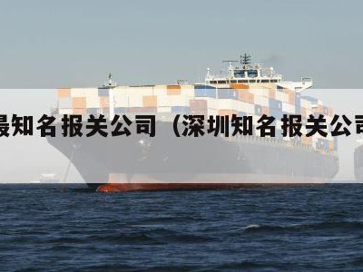 深圳最知名报关公司（深圳知名报关公司推荐）