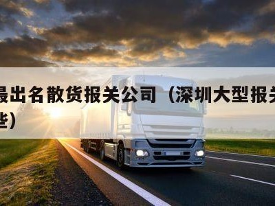 深圳最出名散货报关公司（深圳大型报关公司有哪些）
