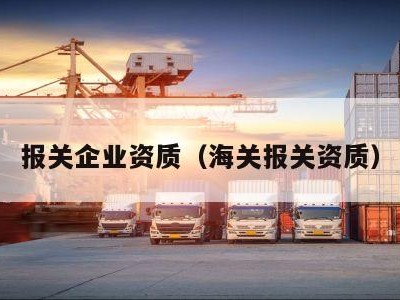 报关企业资质（海关报关资质）