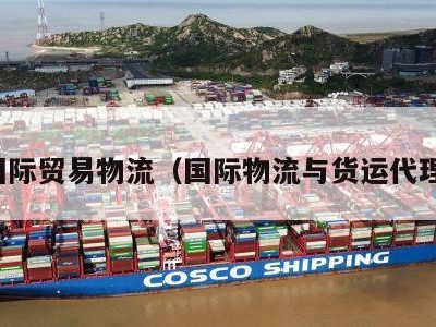 国际贸易物流（国际物流与货运代理）