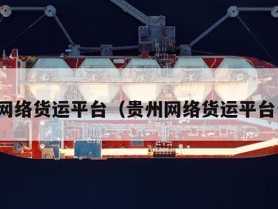 贵州网络货运平台（贵州网络货运平台公司）