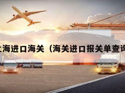 上海进口海关（海关进口报关单查询）