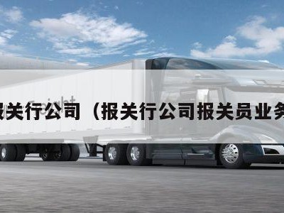 报关行公司（报关行公司报关员业务）