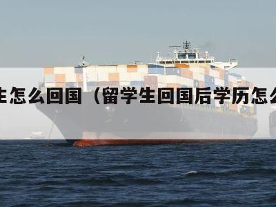 留学生怎么回国（留学生回国后学历怎么认证）