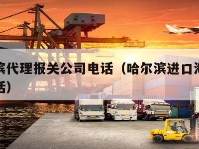 哈尔滨代理报关公司电话（哈尔滨进口海关客服电话）