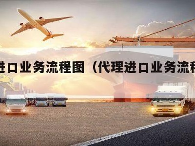 代理进口业务流程图（代理进口业务流程图怎么做）