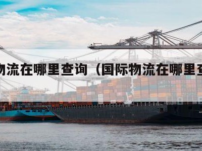 国际物流在哪里查询（国际物流在哪里查询进度）