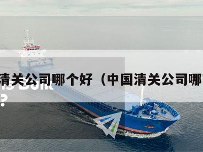 国内清关公司哪个好（中国清关公司哪家好）