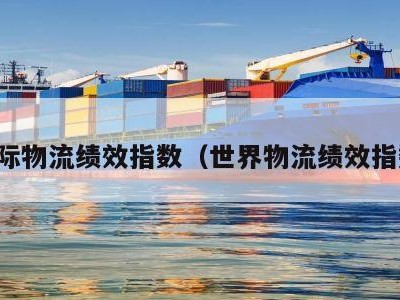 国际物流绩效指数（世界物流绩效指数）