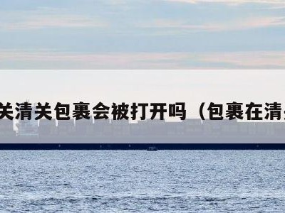 海关清关包裹会被打开吗（包裹在清关）