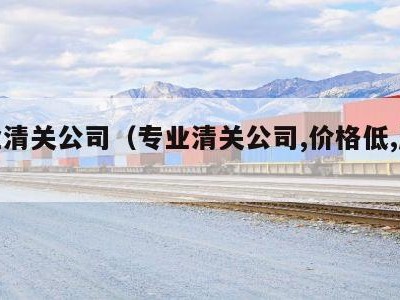 专业清关公司（专业清关公司,价格低,服务好!）