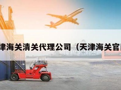 天津海关清关代理公司（天津海关官网）