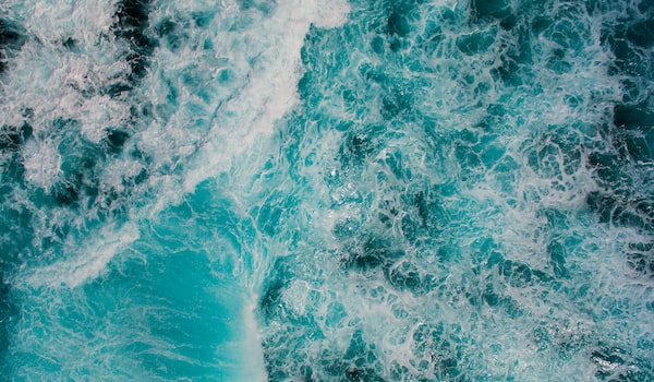 海洋